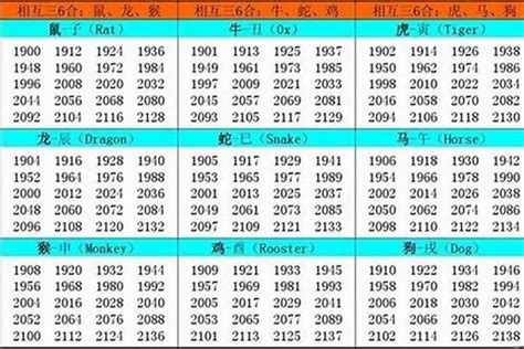 2002年出生属什么|2002年属什么命 2002年属什么生肖和什么最配